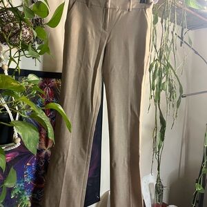 Express Boot Cut Pants in Tan